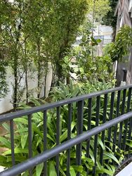 Jalan Haji Alias (D10), Terrace #547789381